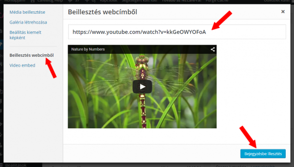 embed-youtube